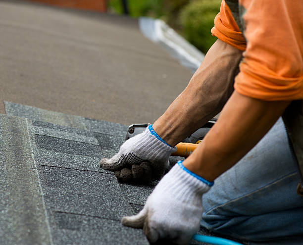 Roof Gutter Cleaning in Granville, IL